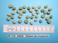 Click for 3 image(s) for this accession. Image